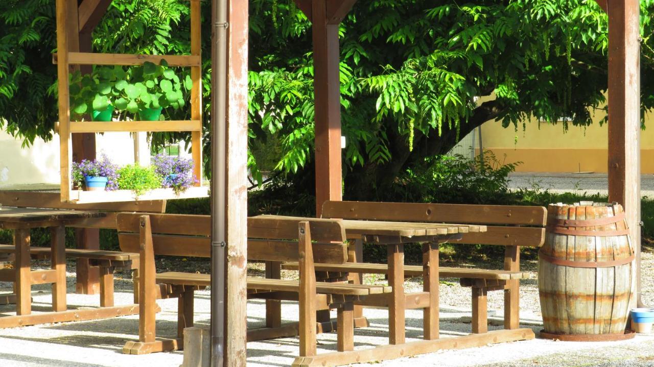 Agriturismo Rivieraoglio Piadena エクステリア 写真