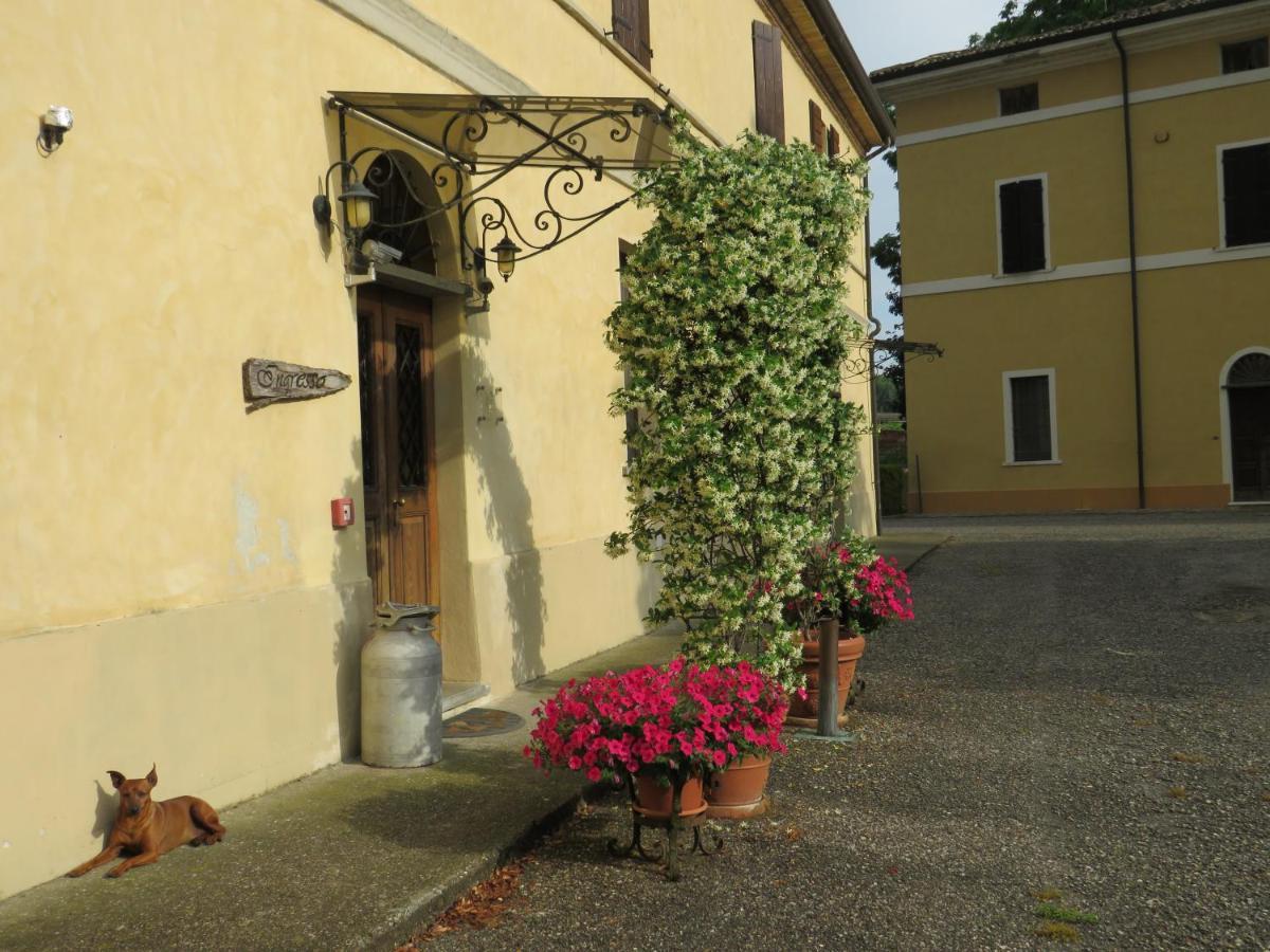 Agriturismo Rivieraoglio Piadena エクステリア 写真