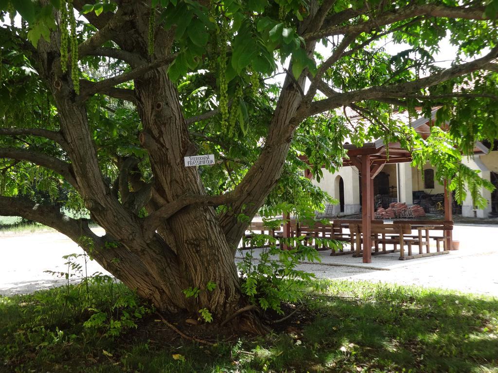 Agriturismo Rivieraoglio Piadena エクステリア 写真