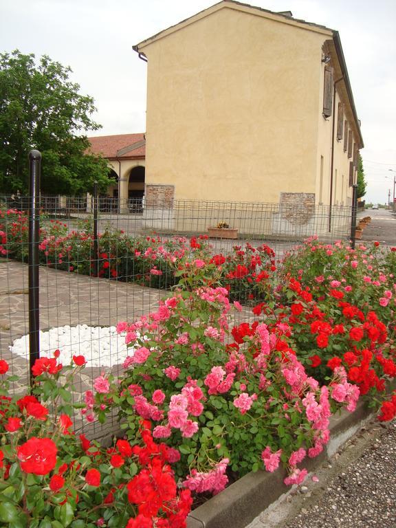 Agriturismo Rivieraoglio Piadena エクステリア 写真