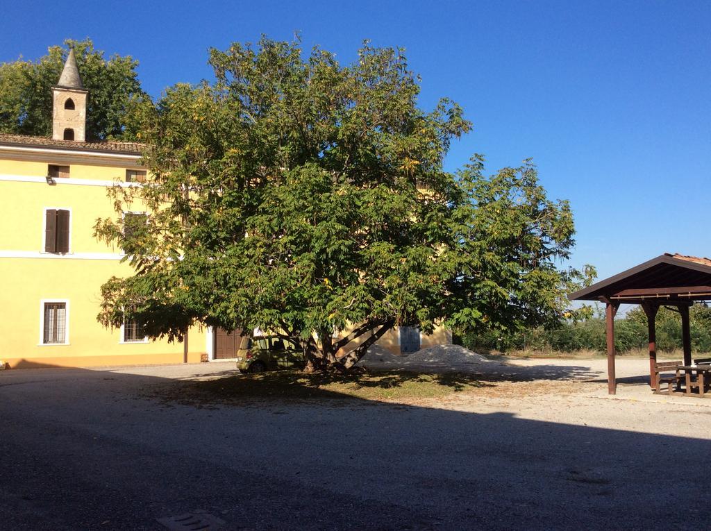 Agriturismo Rivieraoglio Piadena エクステリア 写真